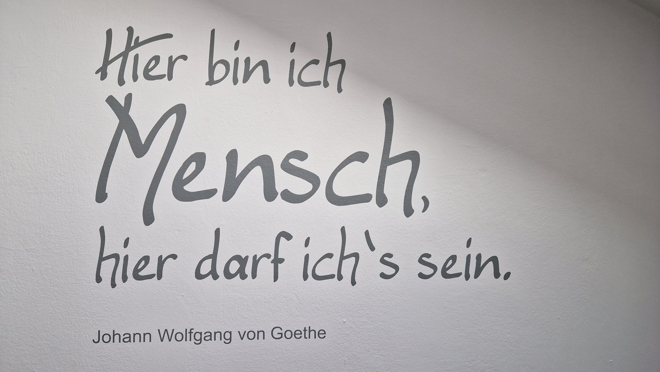 cornelia-tomaszcewski-powerflow-coaching-04